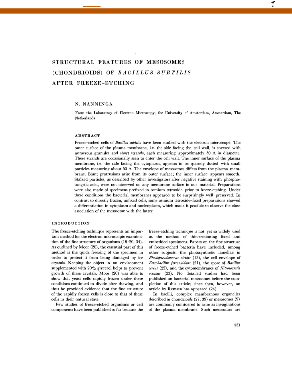 Structural Features of Mesosomes