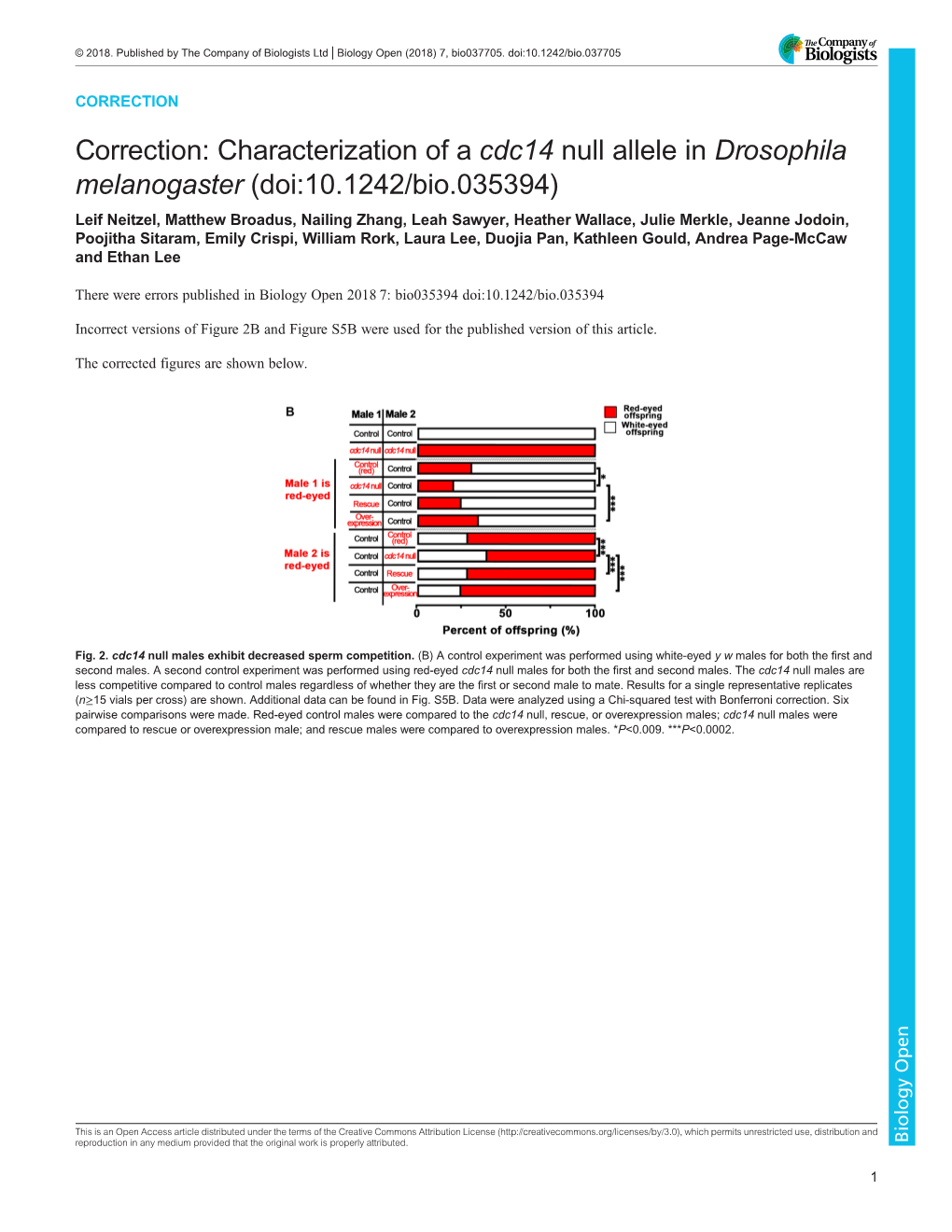 Characterization of a Cdc14 Null Allele in Drosophila Melanogaster