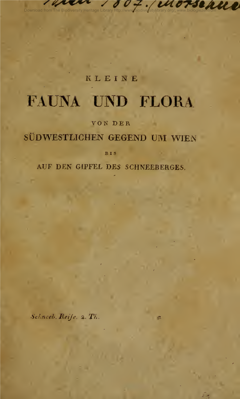 KLEINE FAUNA UND FLORA VON DER SÜDWESTLICHEN GEGEND UM Wiein