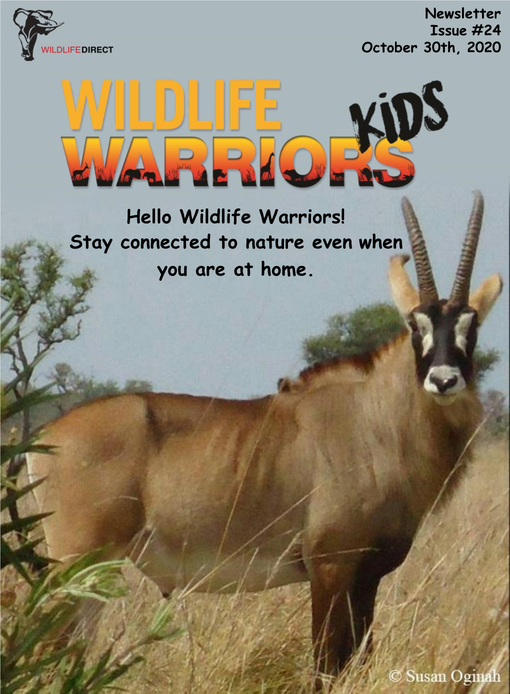 Hello Wildlife Warriors! Stay Connected to Nature Even When You Are at Home