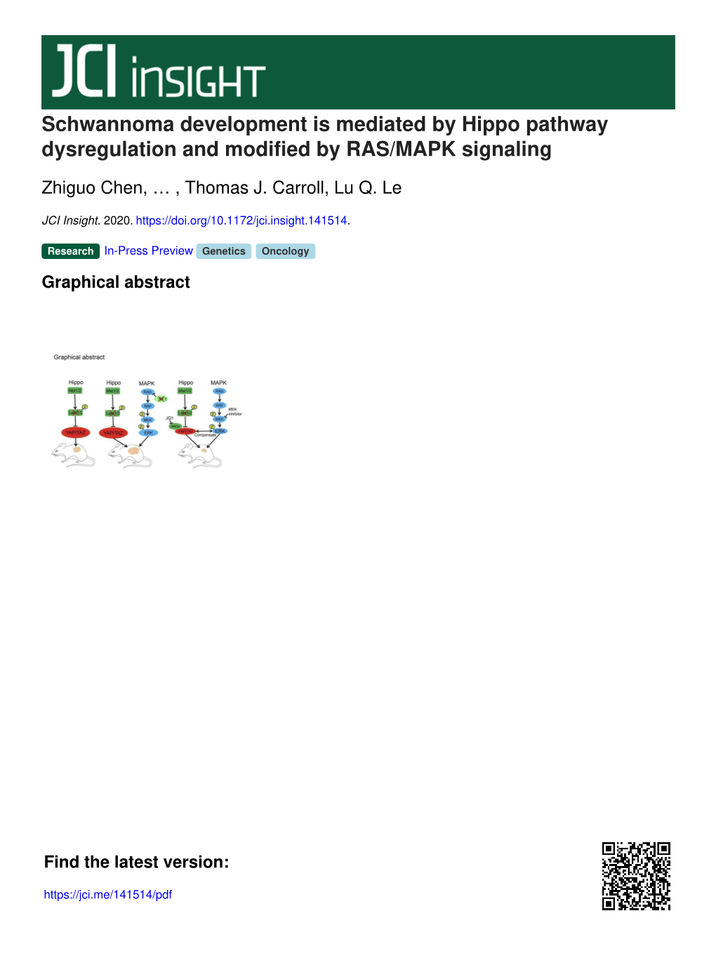 Schwannoma Development Is Mediated by Hippo Pathway Dysregulation and Modified by RAS/MAPK Signaling