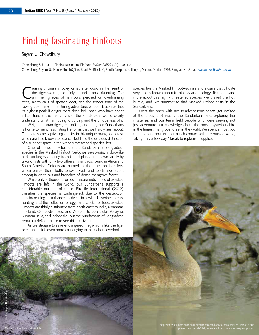Finding Fascinating Finfoots