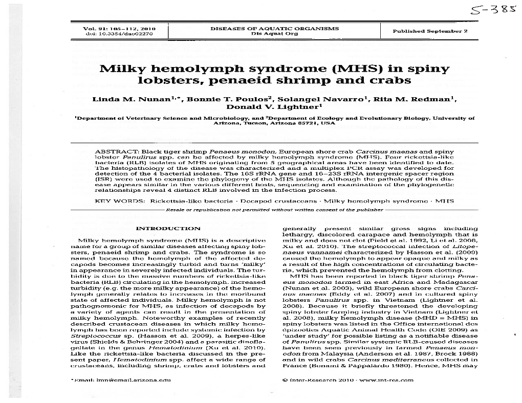 Milky Hemolymph Syndrome (MHS) in Spiny Lobsters, Penaeid Shrimp and Crabs