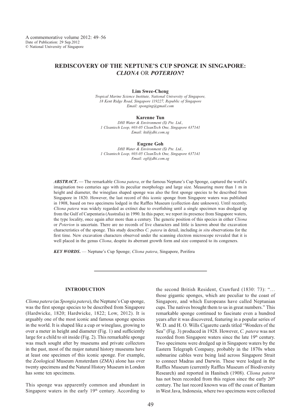 Rediscovery of the Neptune's Cup Sponge in Singapore