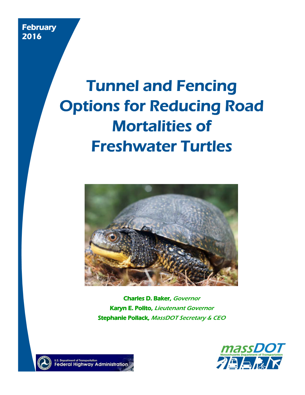 Tunnel and Fencing Options for Reducing Road Mortalities of 6