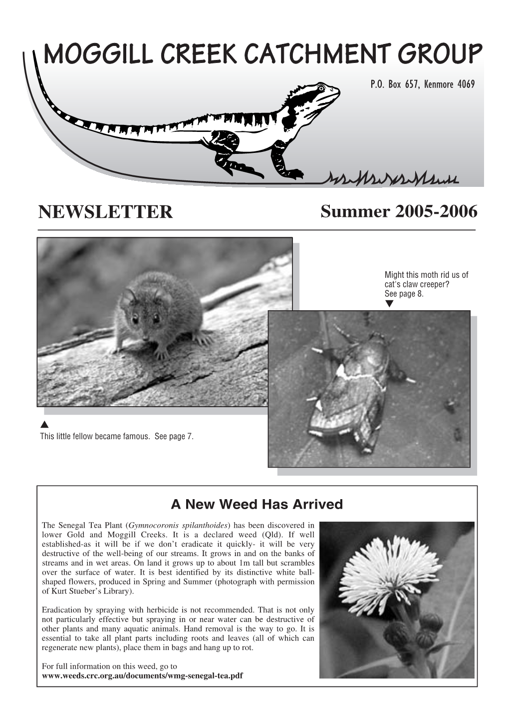 NEWSLETTER Summer 2005-2006