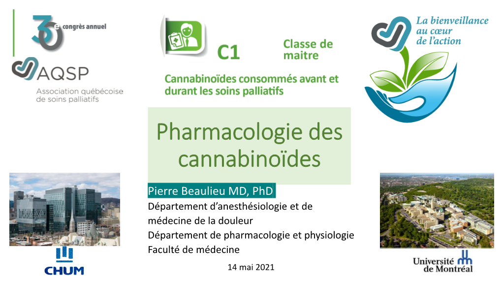 Cannabinoïdes Et Soins Palliatifs