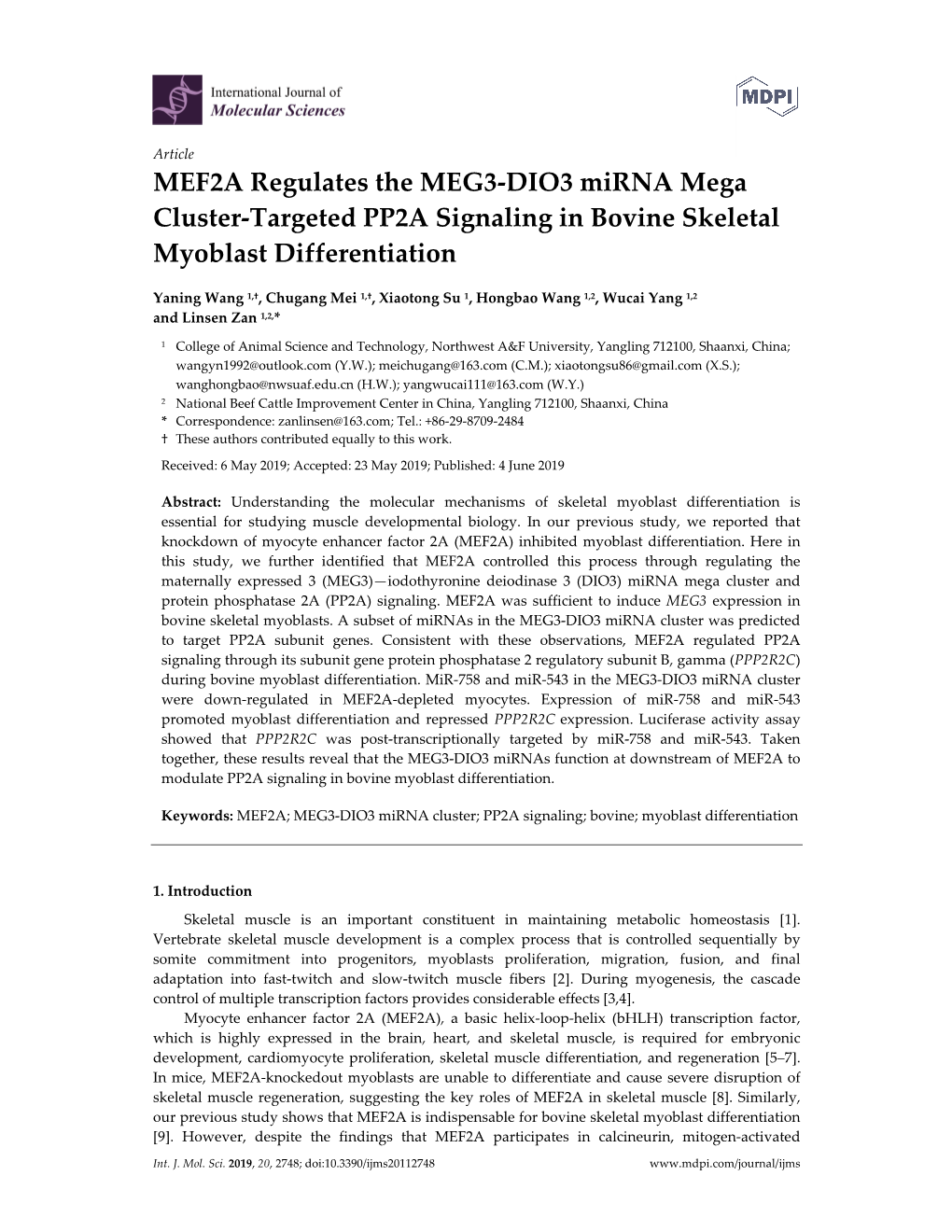 MEF2A Regulates the MEG3-DIO3 Mirna Mega Cluster-Targeted