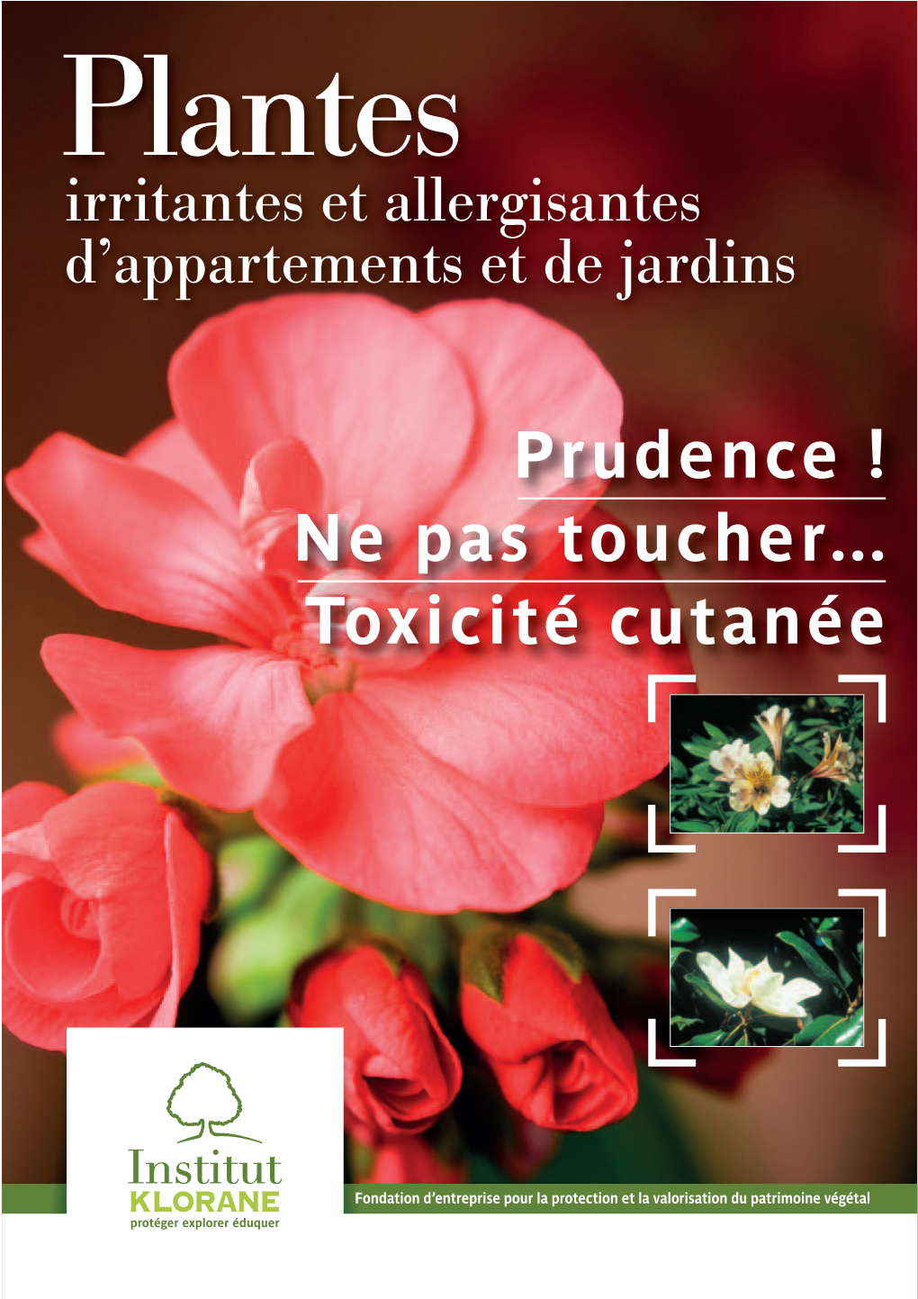 Prudence ! Ne Pas Toucher… Toxicité Cutanée