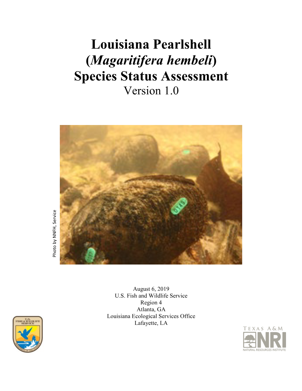 Louisiana Pearlshell (Magaritifera Hembeli) Species Status Assessment Version 1.0