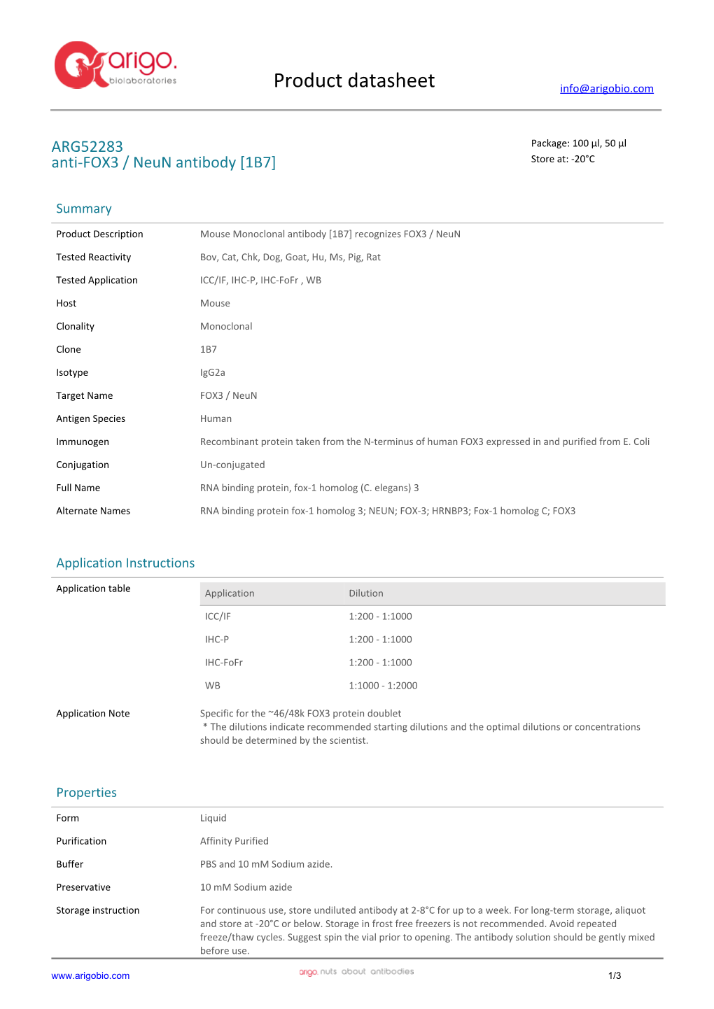 Anti-FOX3 / Neun Antibody [1B7] (ARG52283)