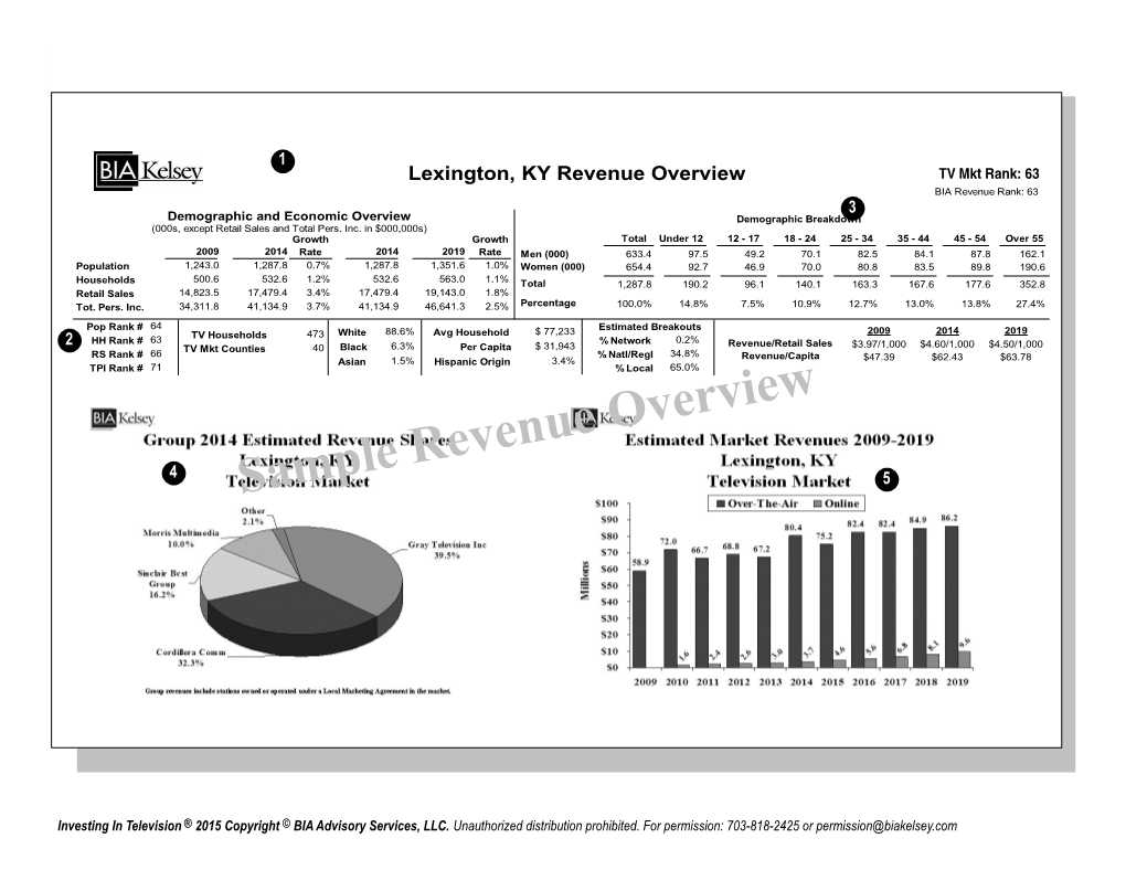 Sample Revenue Overview 5