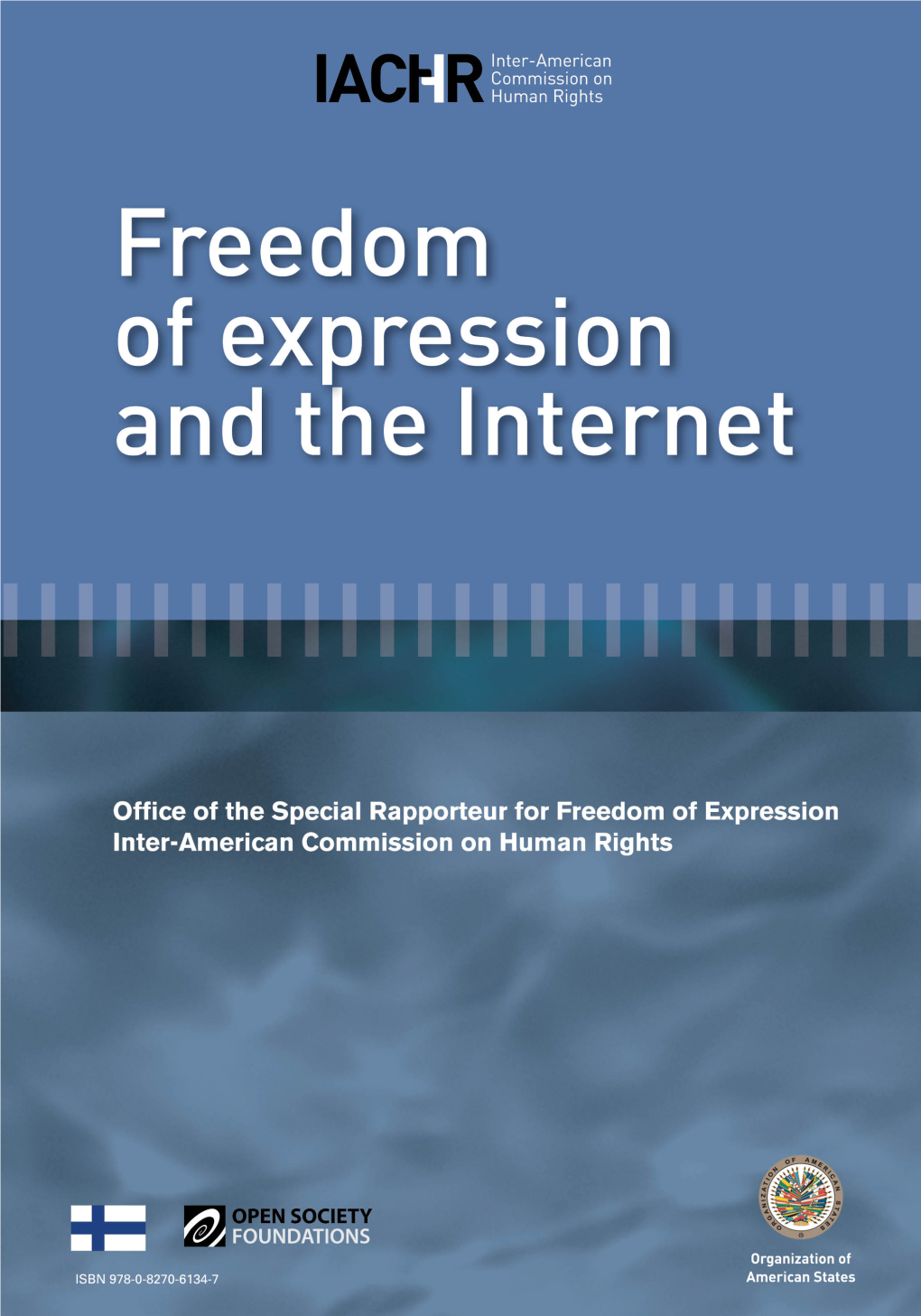 Freedom of Expression and the Internet