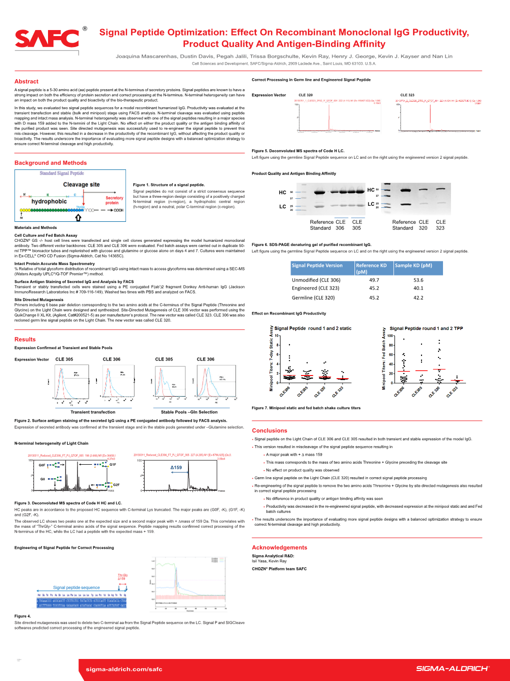 Signal Peptide Optimization