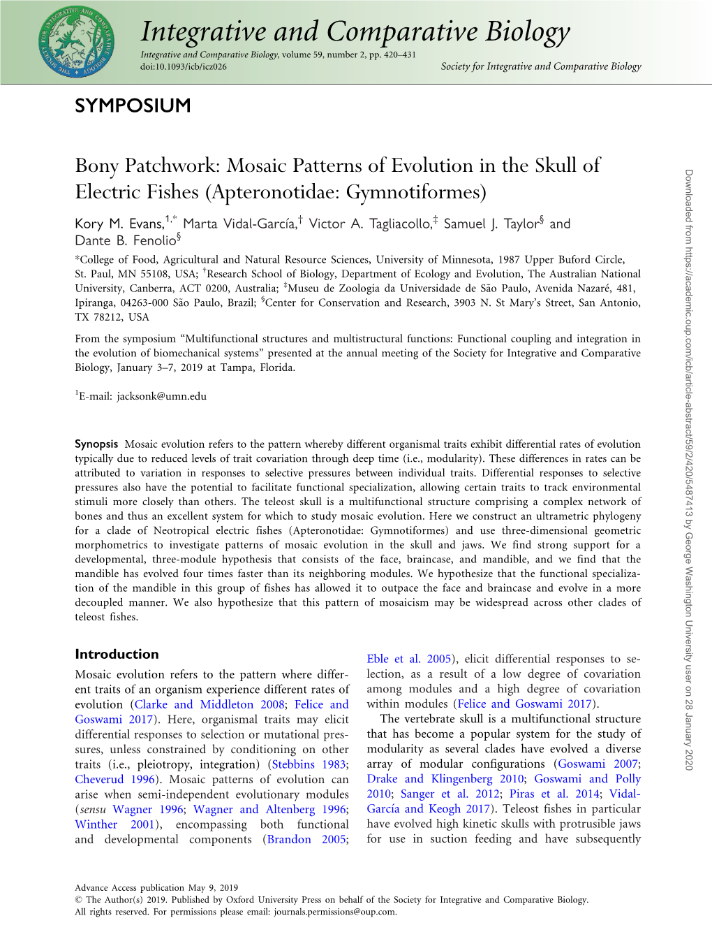 Bony Patchwork: Mosaic Patterns of Evolution in the Skull of Electric Fishes (Apteronotidae: Gymnotiformes)