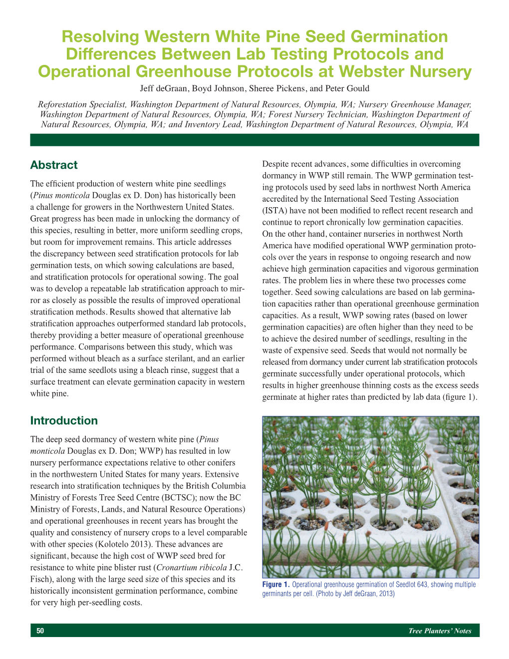 Resolving Western White Pine Seed Germination Differences Between