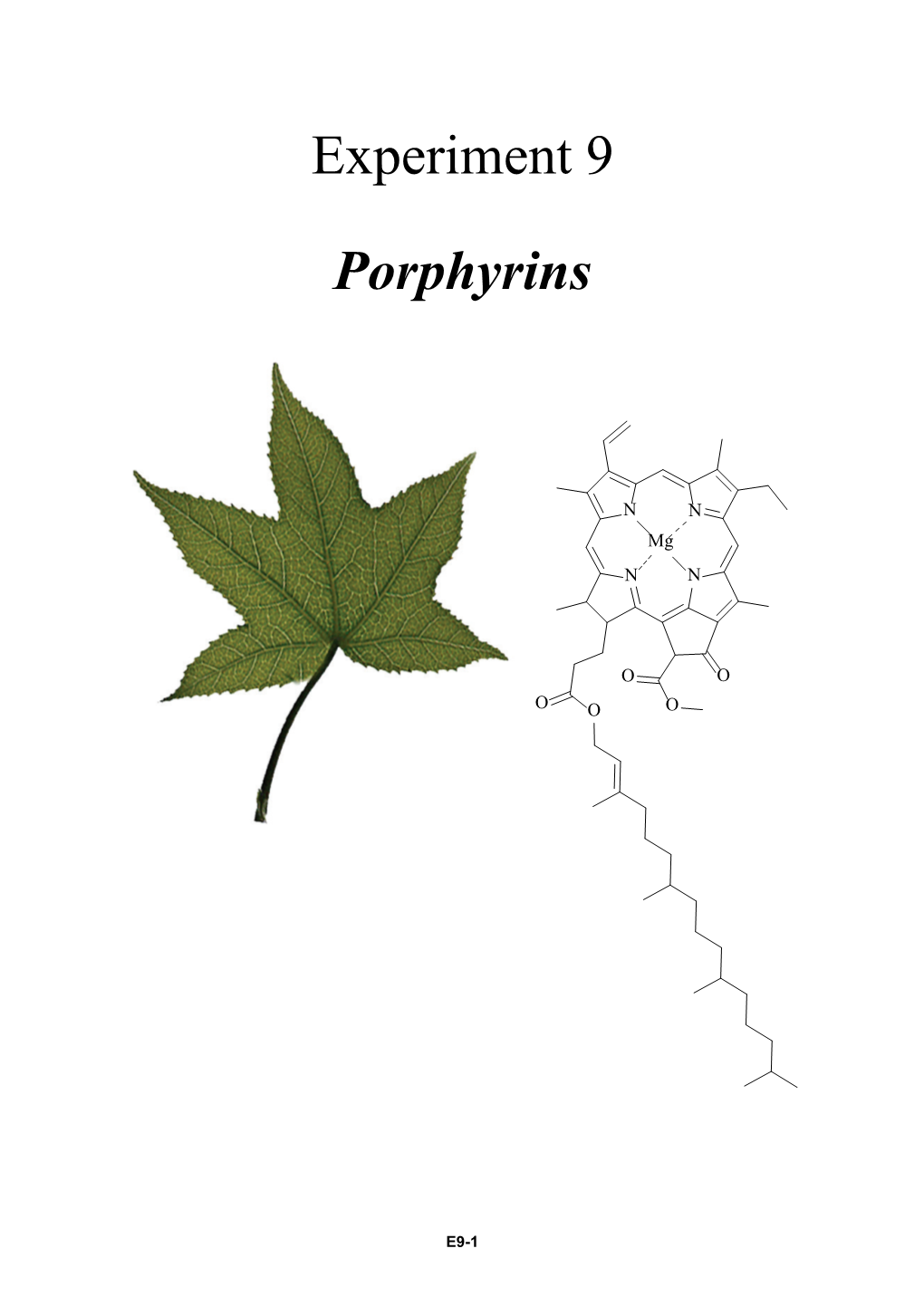 Experiment 9 Porphyrins