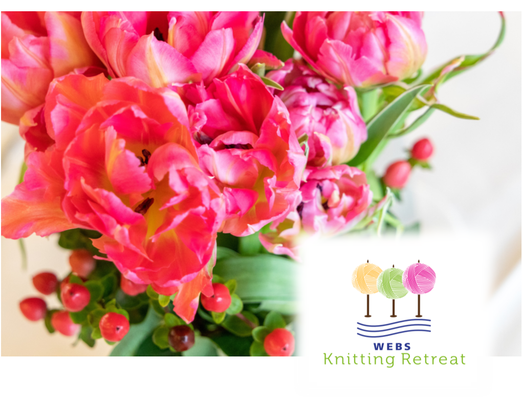 WEBS Spring Knitting Retreat