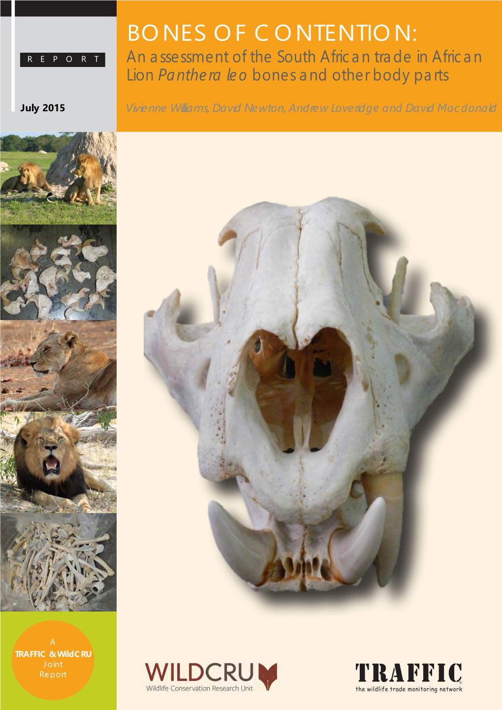 BONES of CONTENTION: REPORT an Assessment of the South African Trade in African Lion Panthera Leo Bones and Other Body Parts