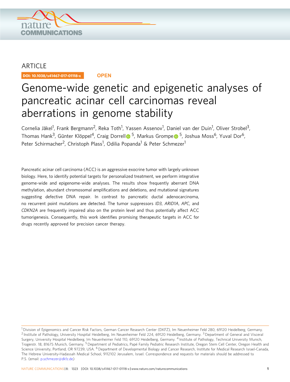 Genome-Wide Genetic and Epigenetic Analyses of Pancreatic Acinar Cell Carcinomas Reveal Aberrations in Genome Stability