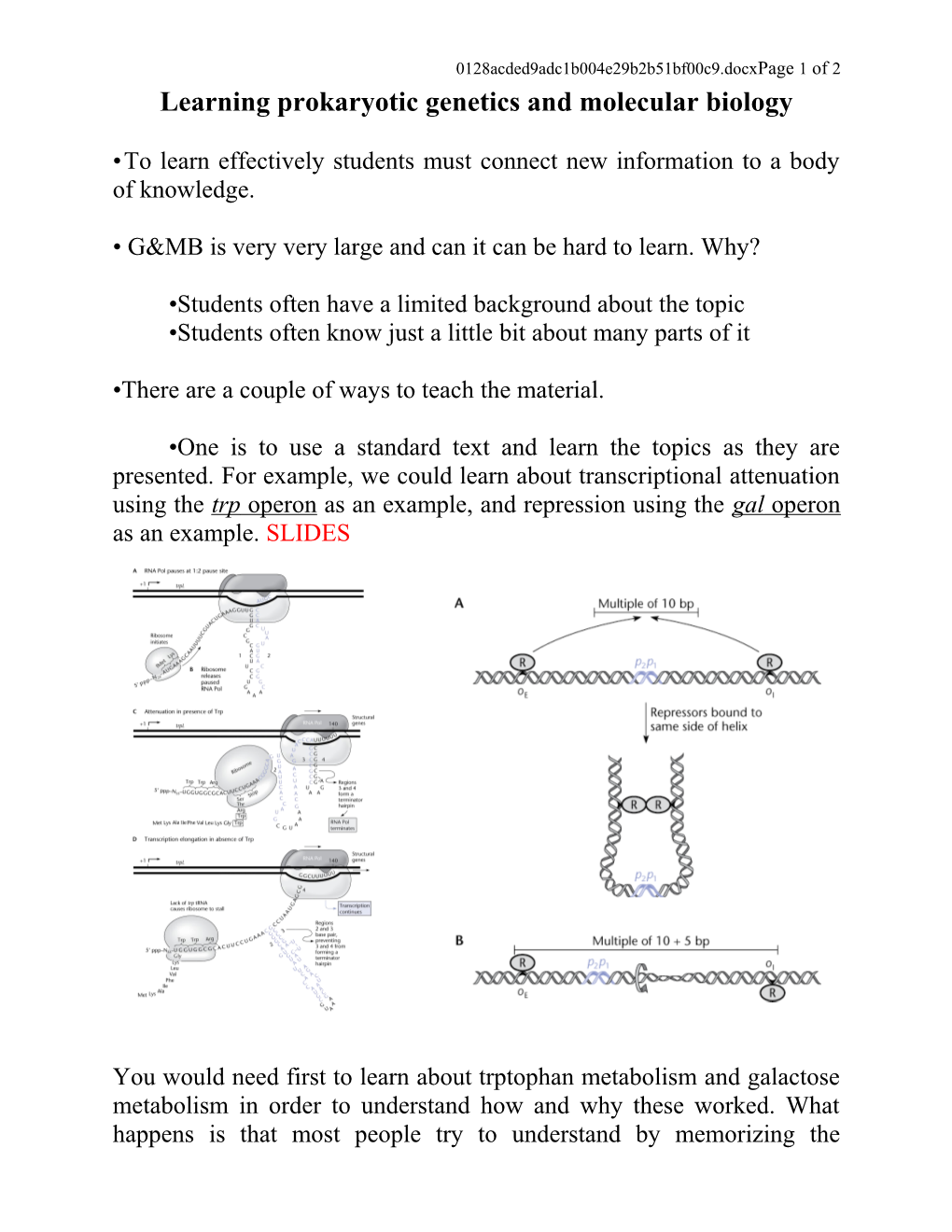 Molecular Biology (And the Use of E s1