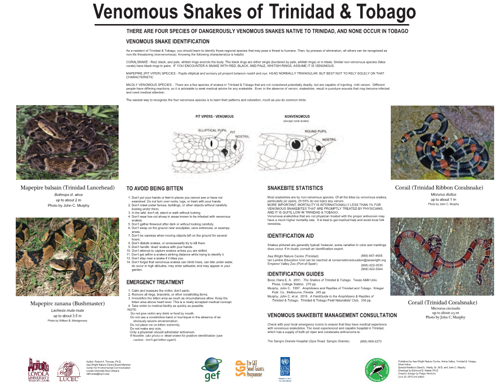 Venomous Snakes Trinidad & Tobago