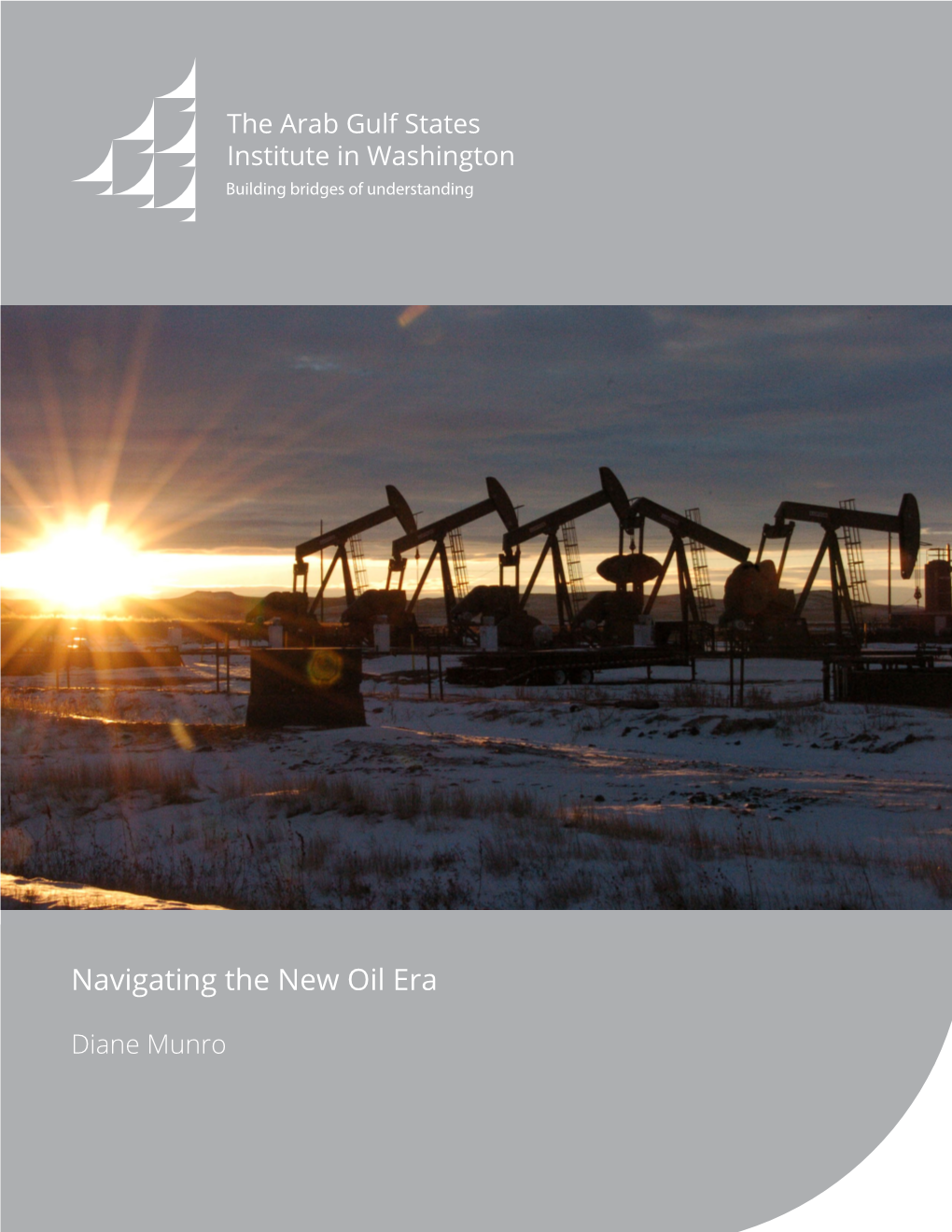 Navigating the New Oil Era