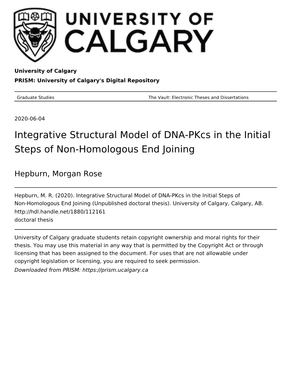 Integrative Structural Model of DNA-Pkcs in the Initial Steps of Non-Homologous End Joining