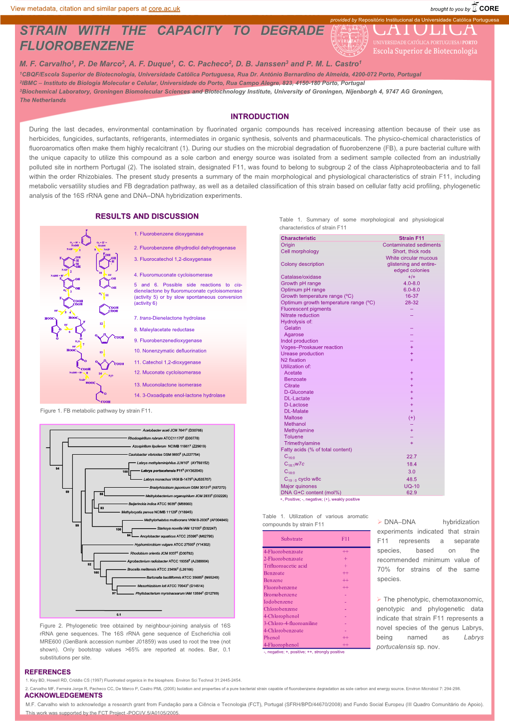 LABRYS PORTUCALENSIS, a BACTERIAL Provided by Repositório Institucional Da Universidade Católica Portuguesa STRAIN with the CAPACITY to DEGRADE FLUOROBENZENE M