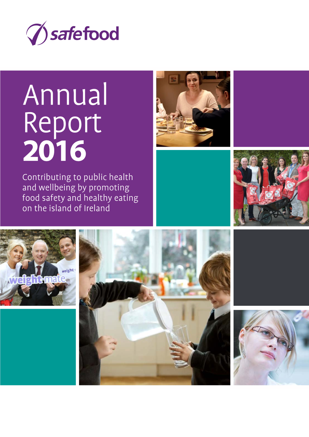 Annual Report 2016 Contributing to Public Health and Wellbeing by Promoting Food Safety and Healthy Eating on the Island of Ireland 2