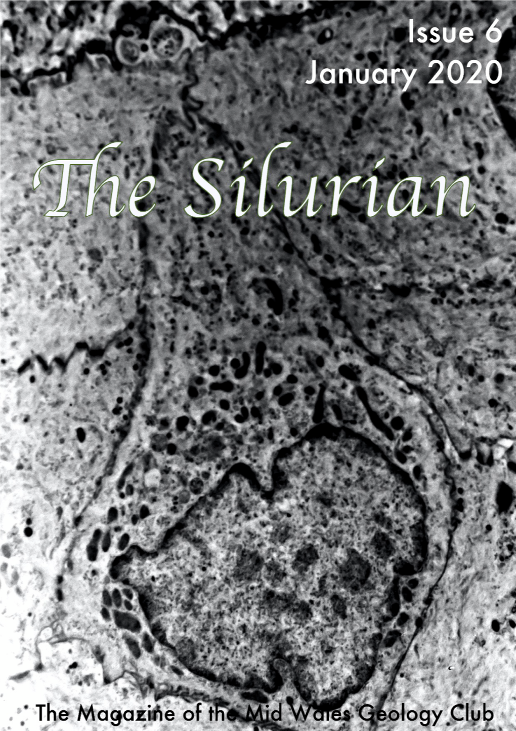 Issue 6 the Silurian January 2020 1