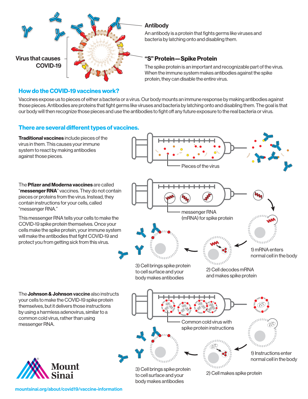 How Do the COVID-19 Vaccines Work? Antibody Virus That Causes