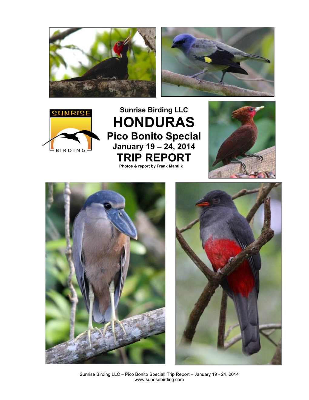 HONDURAS Pico Bonito Special January 19 – 24, 2014 TRIP REPORT Photos & Report by Frank Mantlik