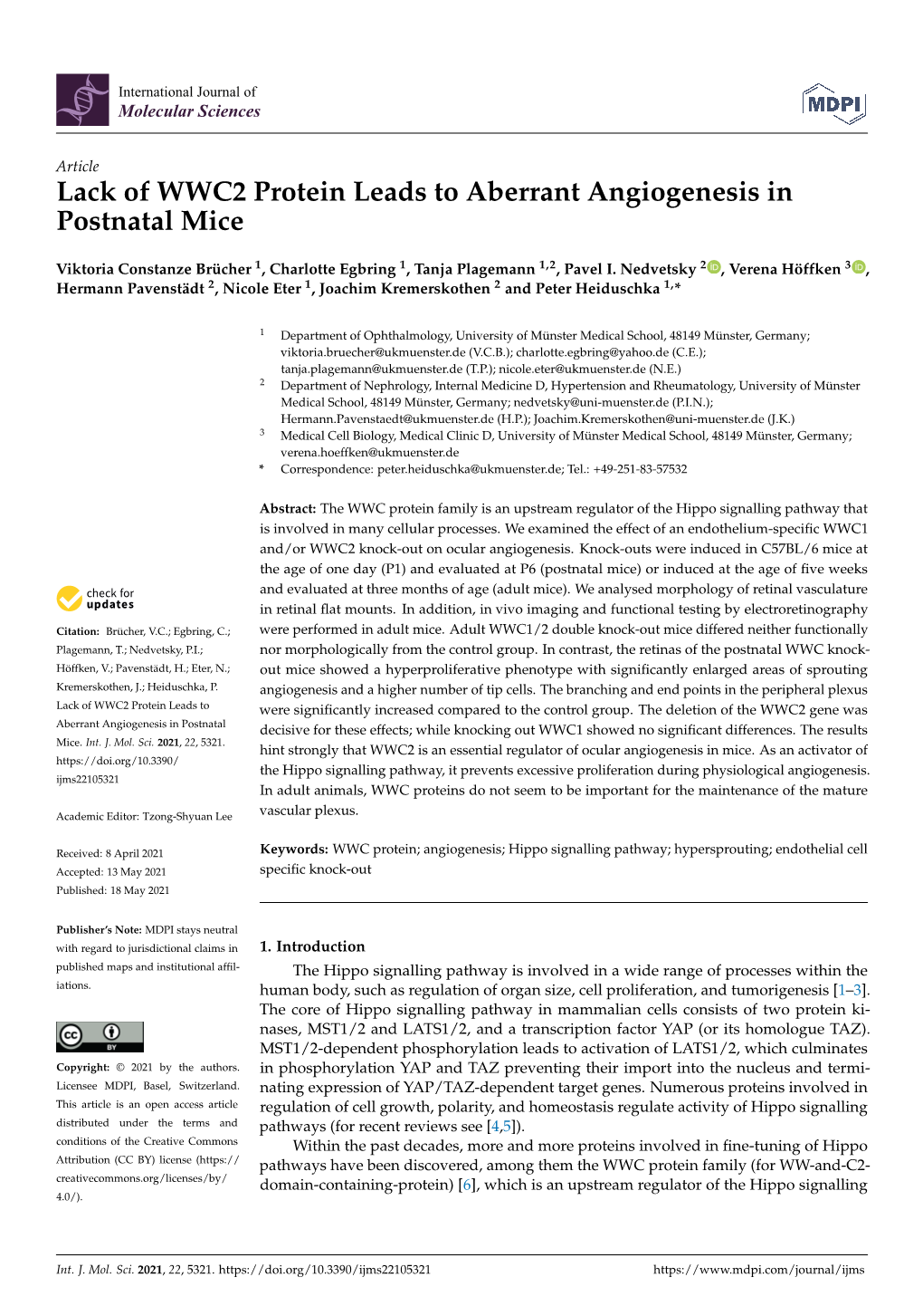 Lack of WWC2 Protein Leads to Aberrant Angiogenesis in Postnatal Mice