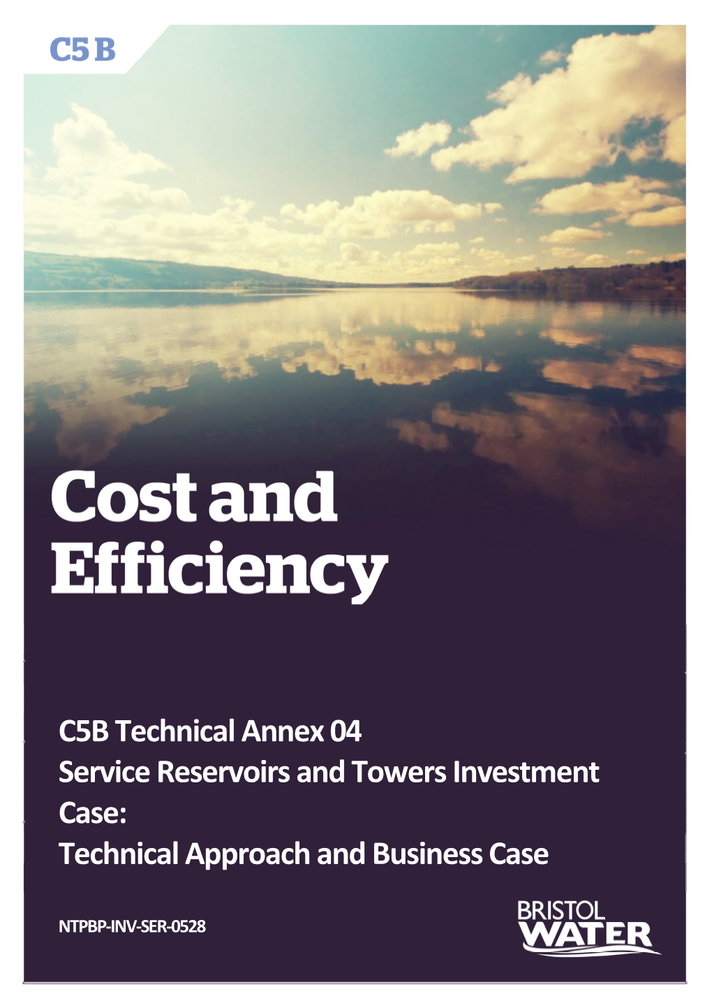C5B Technical Annex 04 Service Reservoirs and Towers Investment Case: Technical Approach and Business Case