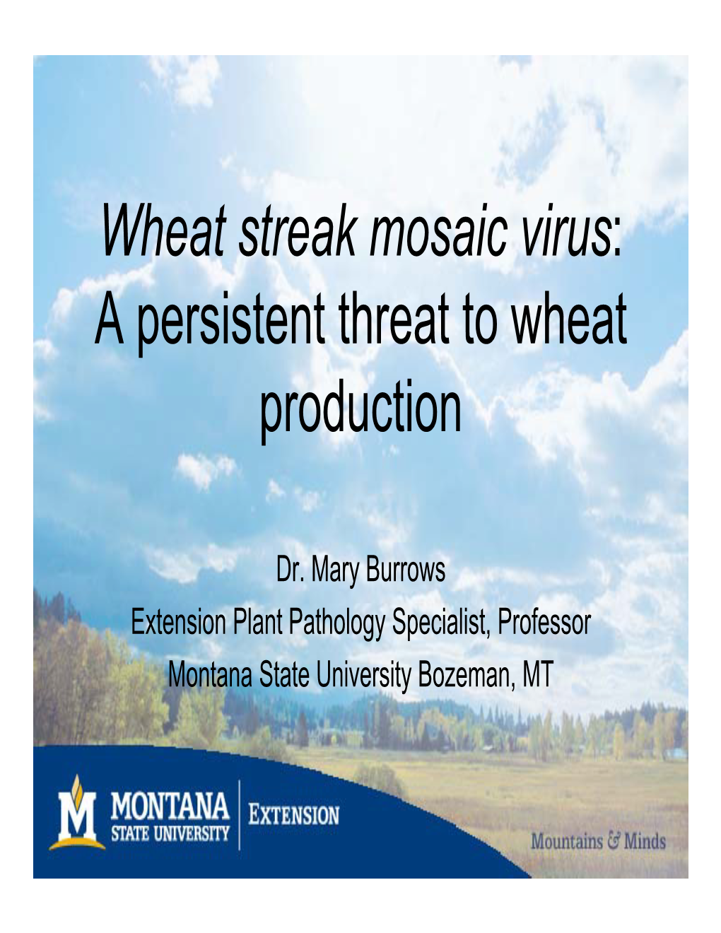 Wheat Streak Mosaic Virus: a Persistent Threat to Wheat Production