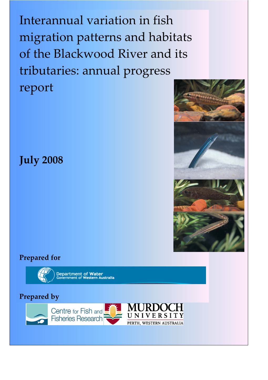 Interannual Variation in Fish Migration Patterns and Habitats of the Blackwood River and Its Tributaries: Annual Progress Report