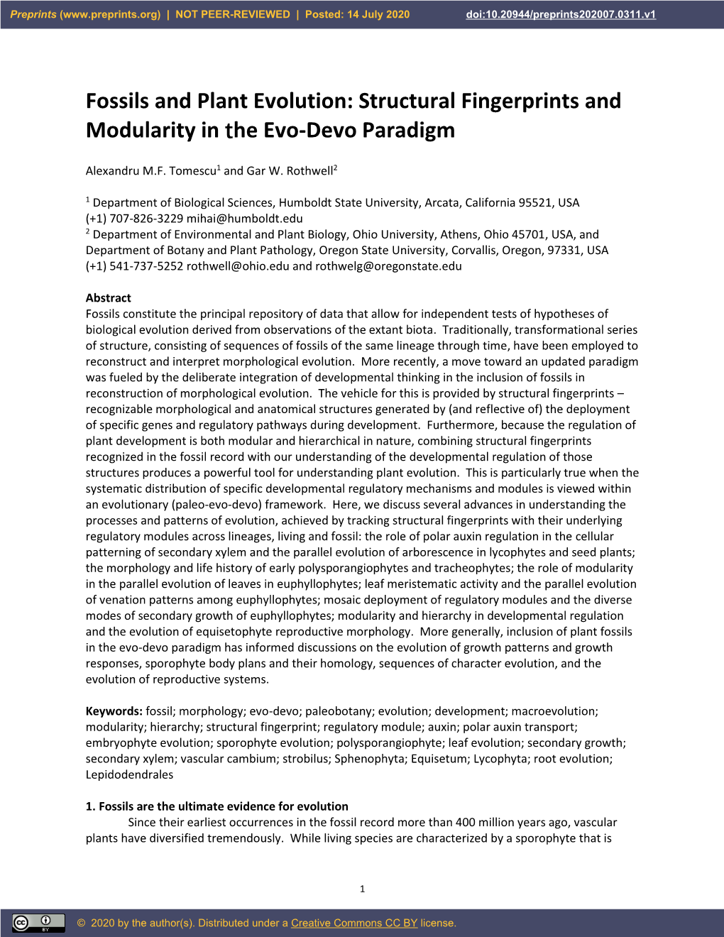 Fossils and Plant Evolution: Structural Fingerprints and Modularity in the Evo-Devo Paradigm