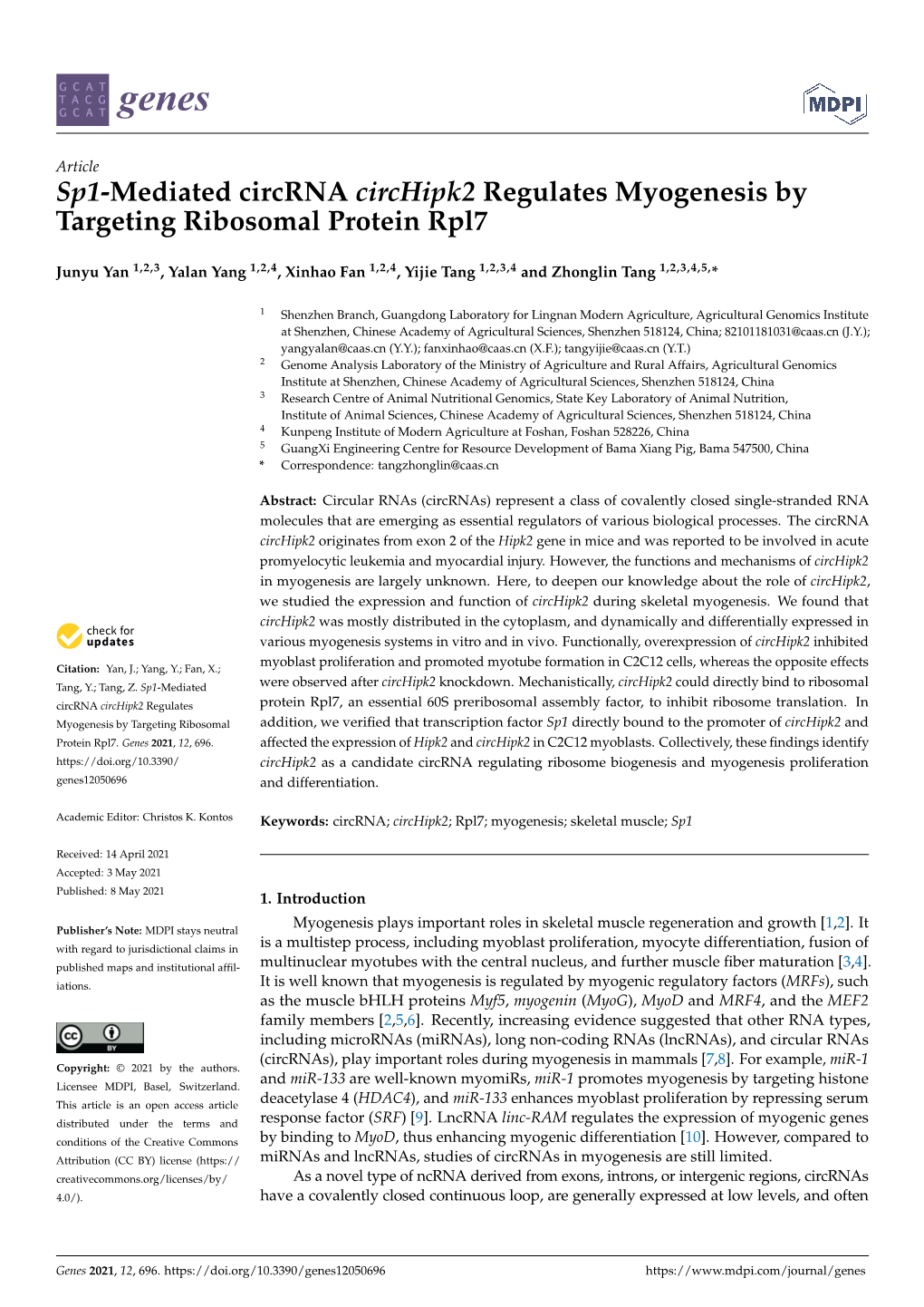 Sp1-Mediated Circrna Circhipk2 Regulates Myogenesis by Targeting Ribosomal Protein Rpl7