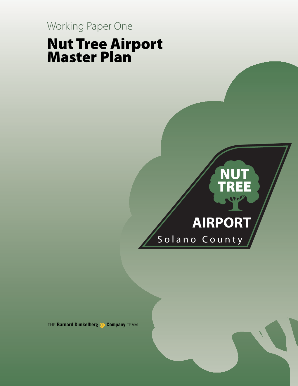 Nut Tree Airport Master Plan