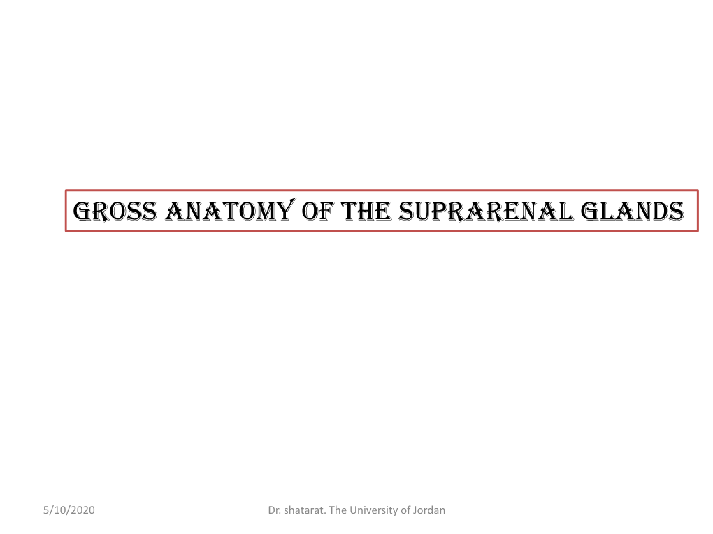 Gross Anatomy of the Suprarenal Glands