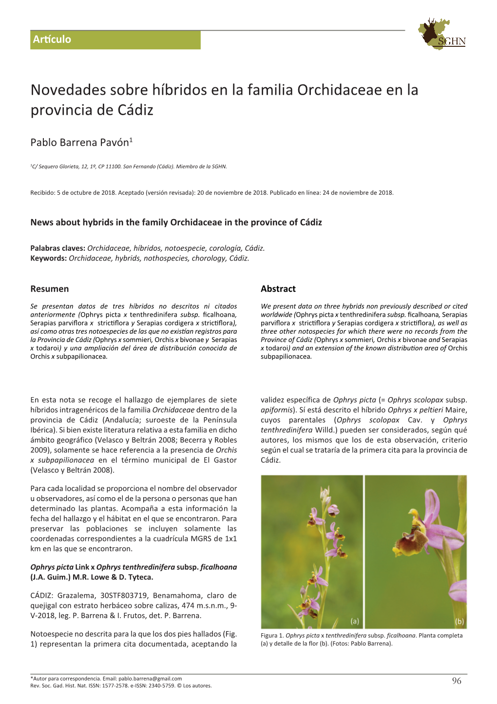 H\355Bridos Familia Orchidaceae RSGHN