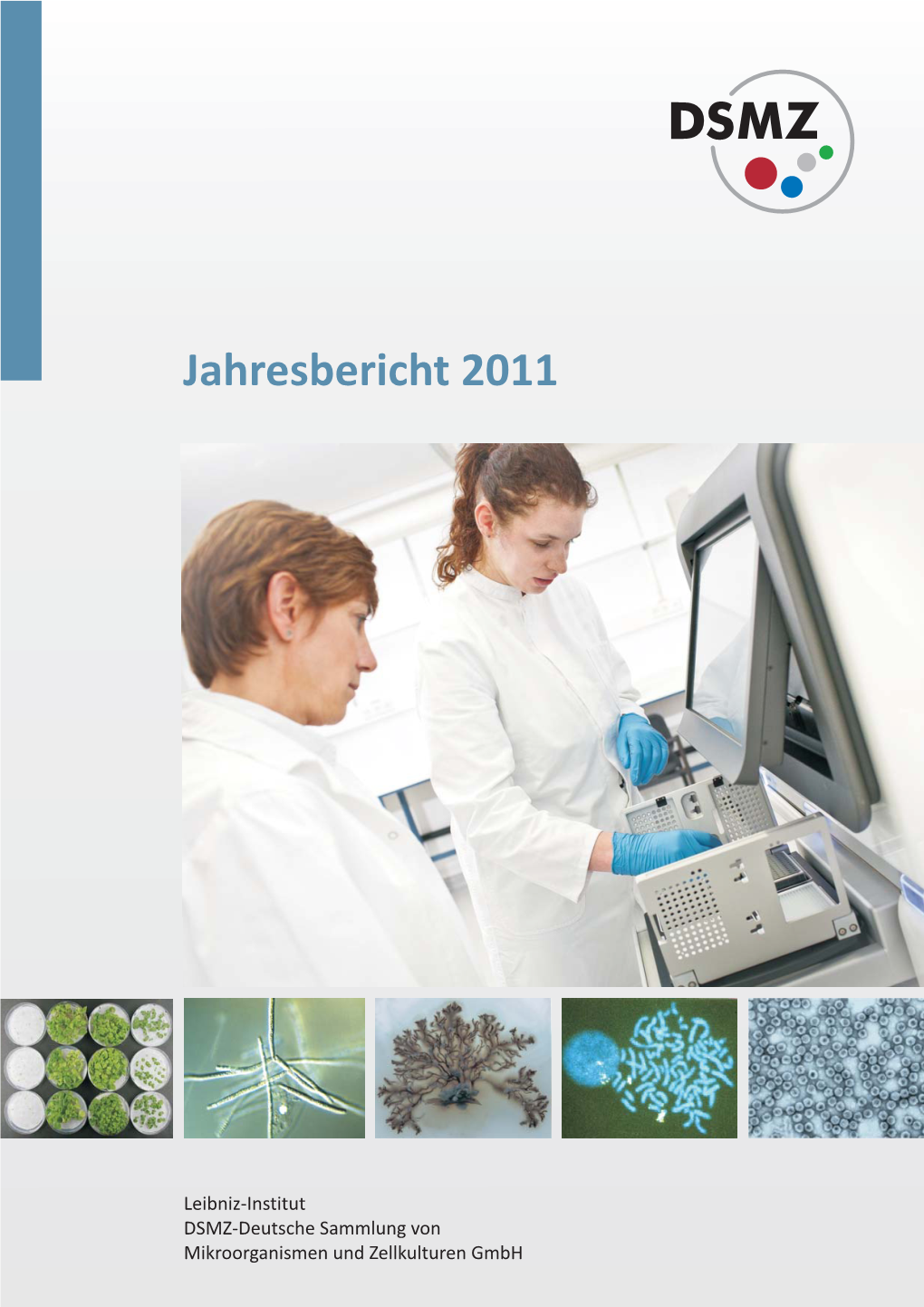 Jahresbericht 2011