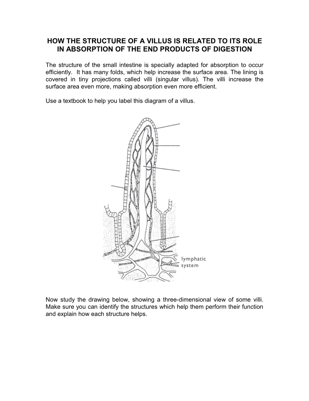 Each Villus Has the Structure Shown in the Diagram Below