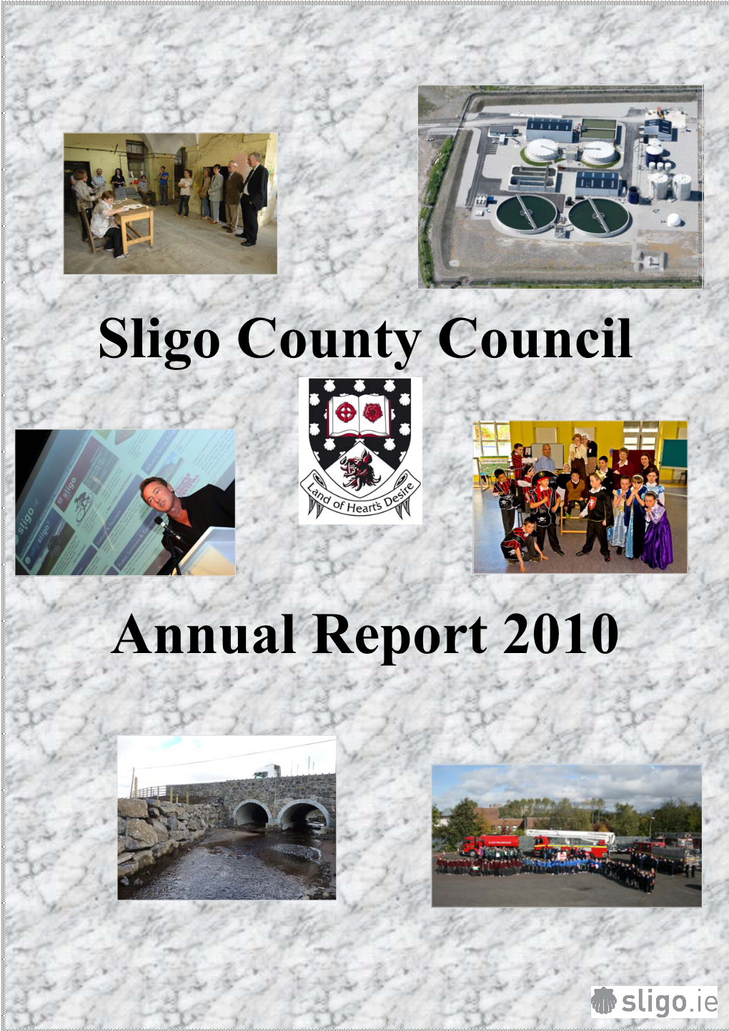 Annual Report 2010 Contents