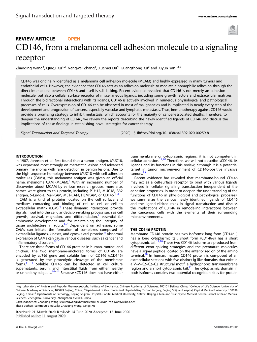 CD146, from a Melanoma Cell Adhesion Molecule to a Signaling Receptor