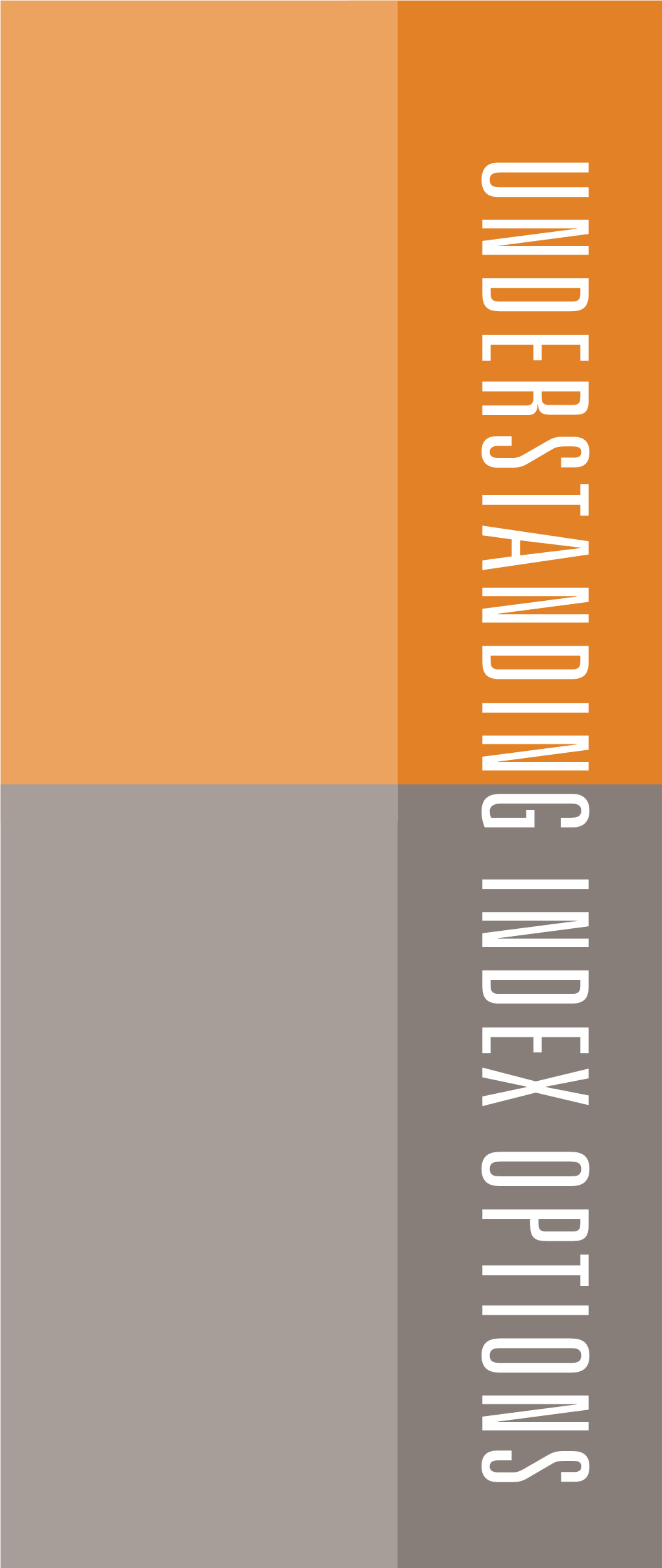 UNDERSTANDING INDEX OPTIONS the Options Industry Council (OIC) Is an Industry Resource Provided by OCC, the World's Largest Equity Derivatives Clearing Organization