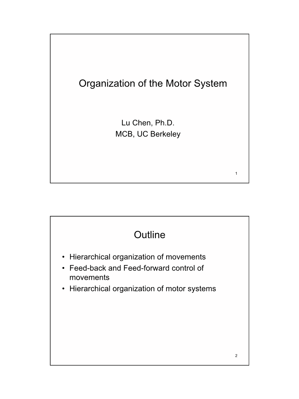 Organization of the Motor System Outline