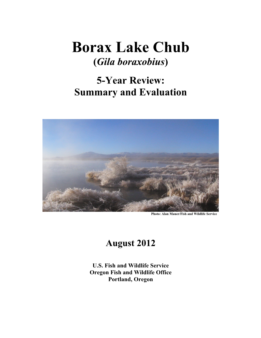Borax Lake Chub (Gila Boraxobius)