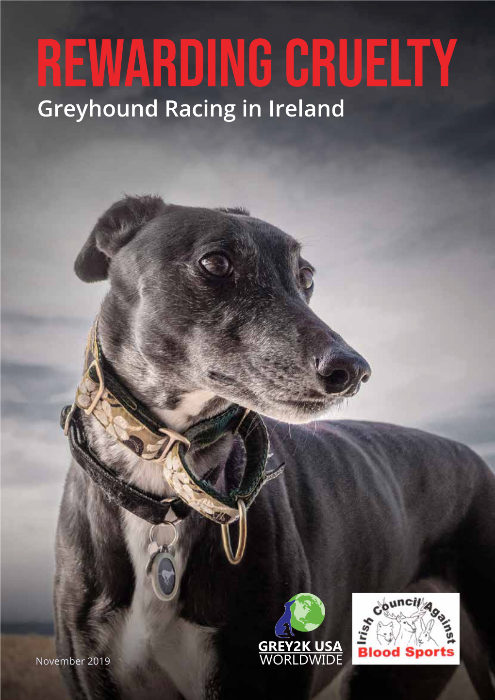 Greyhound Racing in Ireland